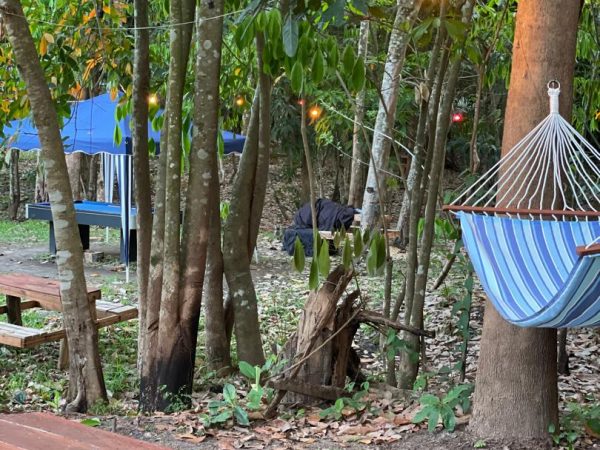 PHOTO-2025-11-20-12-36-16_1